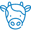cow