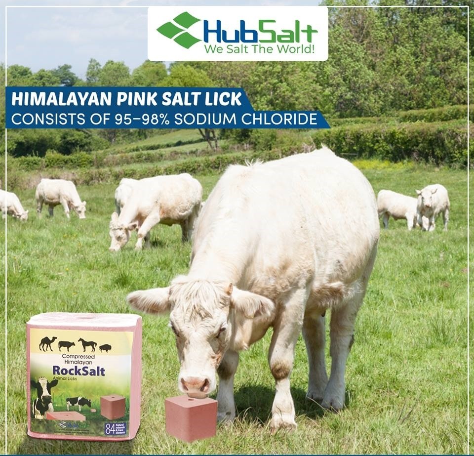 Compressed Salt Lick Block for Cattle