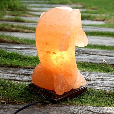 DOLPHIN-LAMP